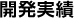 開発実績